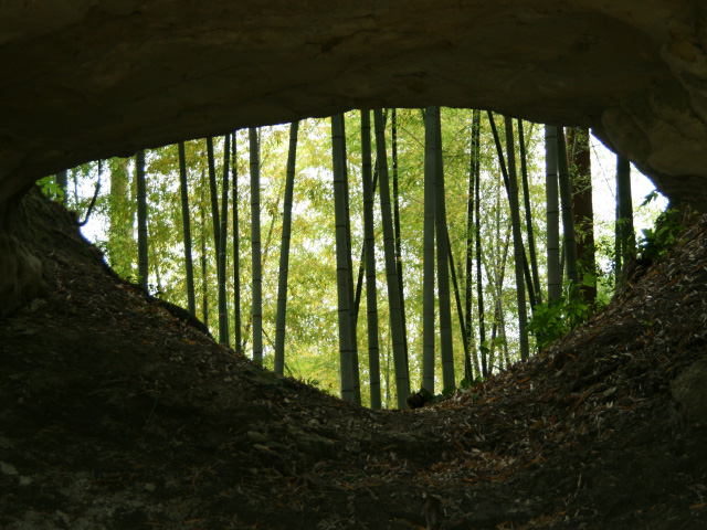 瞳のトンネル（諏訪神社）